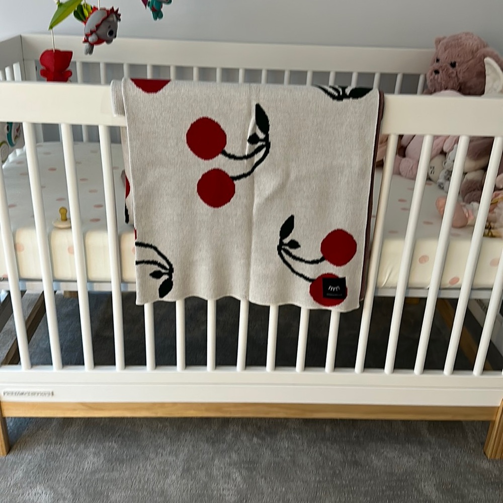 Winx and blinx cherry baby blanket